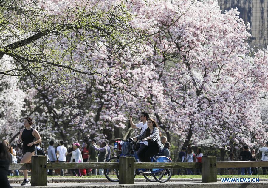 U.S.-NEW YORK-CENTRAL PARK-SPRING-LEISURE