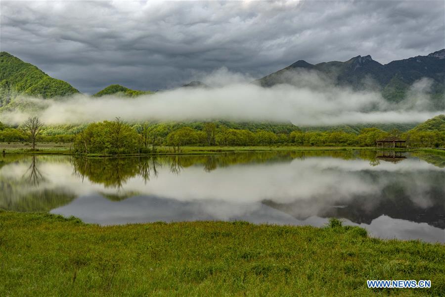 CHINA-HUBEI-SHENNONGJIA-SCENERY (CN)