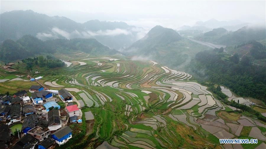 CHINA-GUIZHOU-DANZHAI-TERRACED FIELDS (CN)