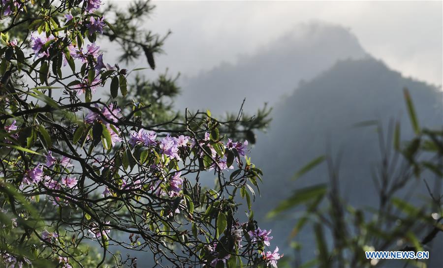 CHINA-SHAANXI-HANZHONG-SCENERY (CN)