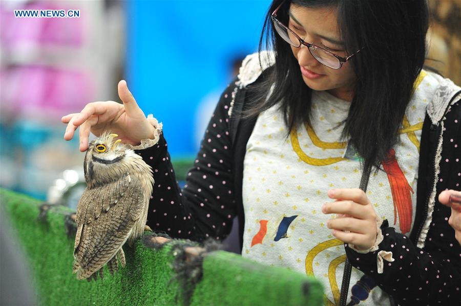 THAILAND-BANGKOK-PET EXPO