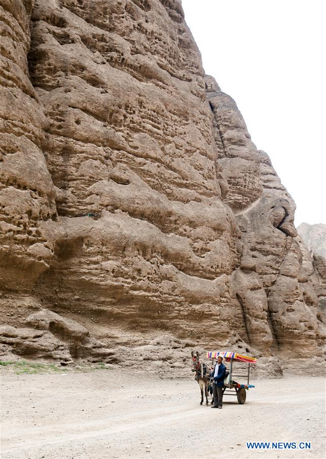 CHINA-GANSU-JINGTAI-DONKEY RIDE-BUSINESS (CN)