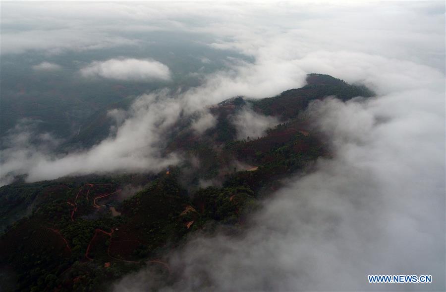 CHINA-YUNNAN-LANCANG-SCENERY AND TEA PLANTING (CN)