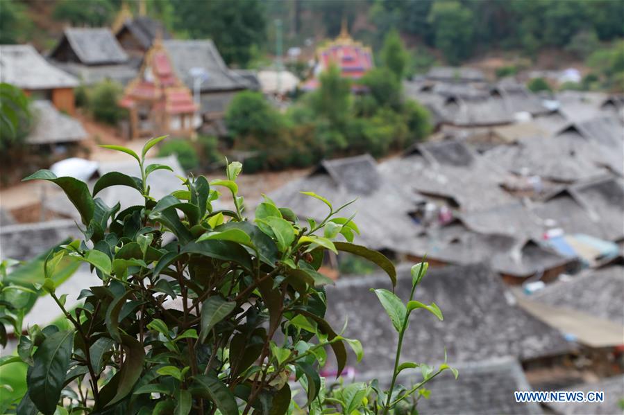 CHINA-YUNNAN-LANCANG-SCENERY AND TEA PLANTING (CN)