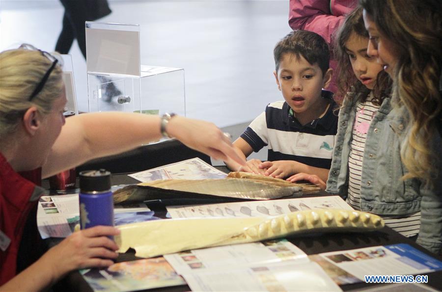 CANADA-VANCOUVER-AQUARIUM-WORLD OCEANS DAY