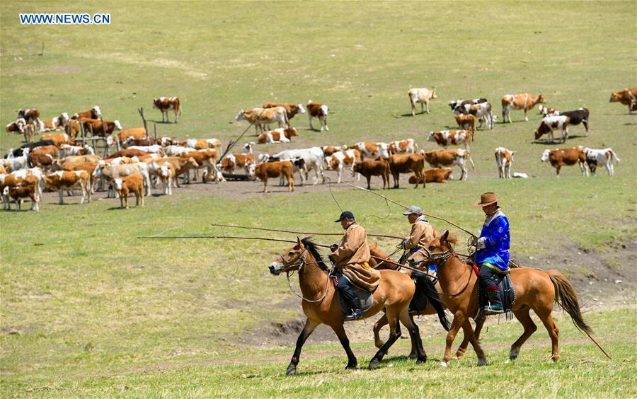 CHINA-INNER MONGOLIA-HERDSMEN-MIGRATION (CN)