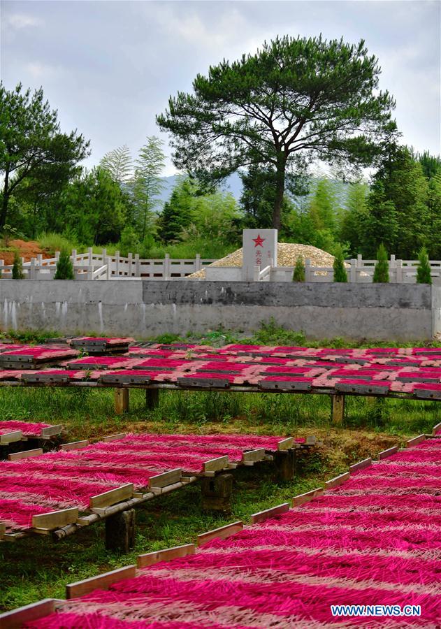 CHINA-FUJIAN-CHANGTING-RED ARMY-HISTORY (CN)