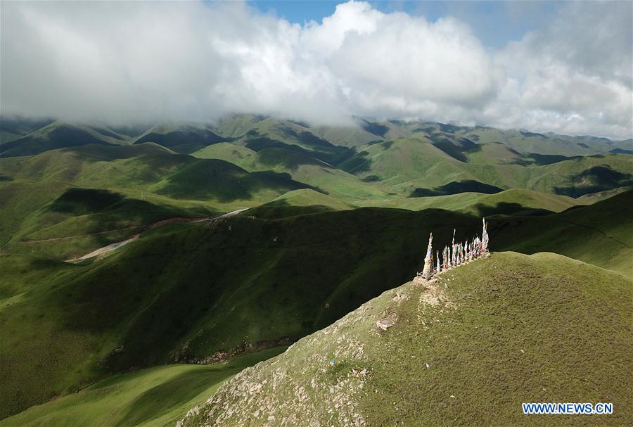 CHINA-GANSU-XIAHE-GRASSLAND-SCENERY (CN)