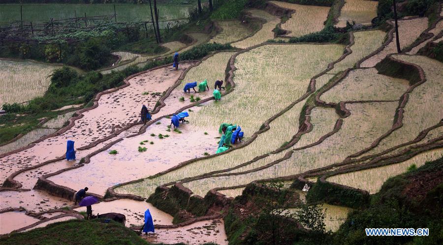 NEPAL-LALITPUR-FARMING