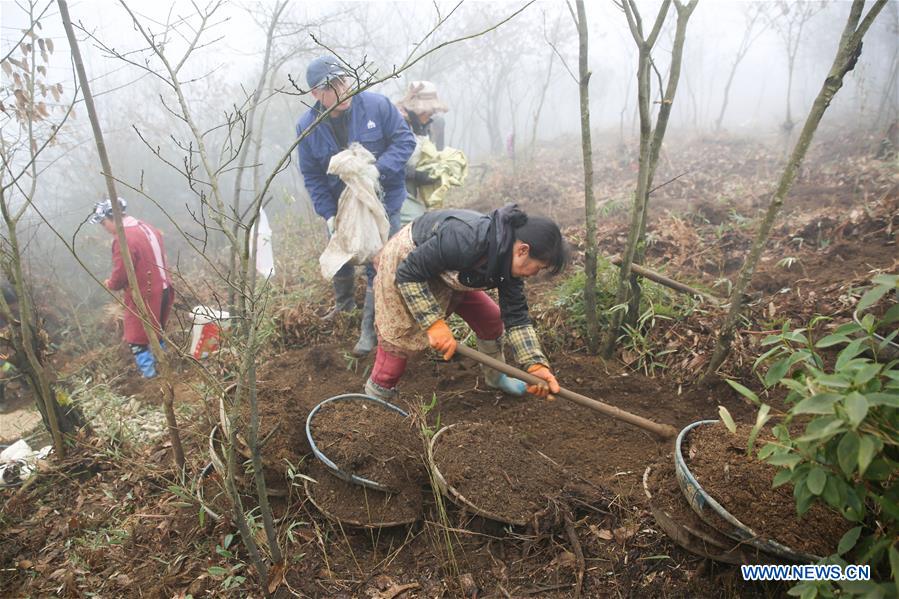 #CHINA-GUIZHOU-AGRICULTURE