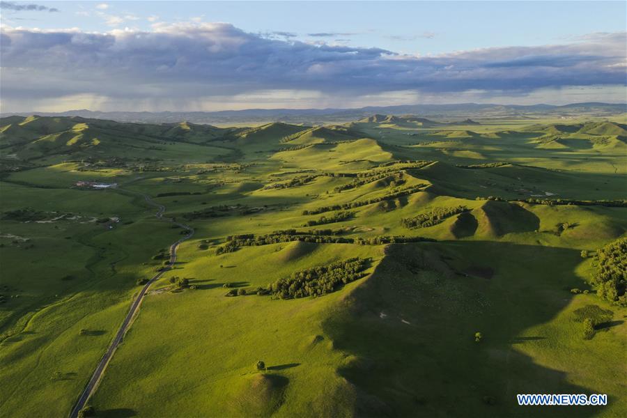 #CHINA-INNER MONGOLIA-GRASSLAND (CN)