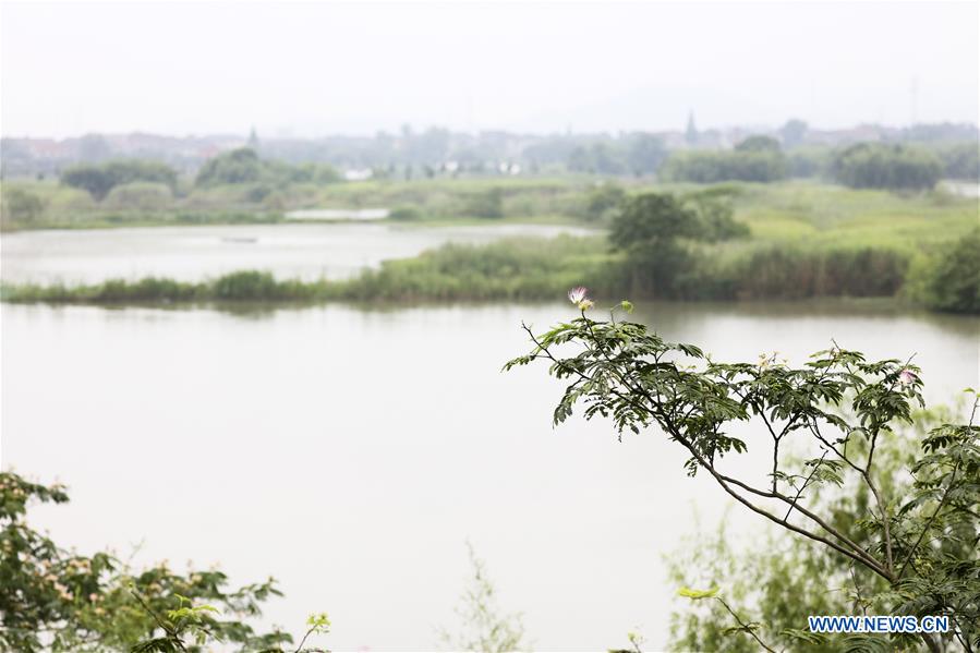 CHINA-ZHEJIANG-DEQING-WETLAND (CN)