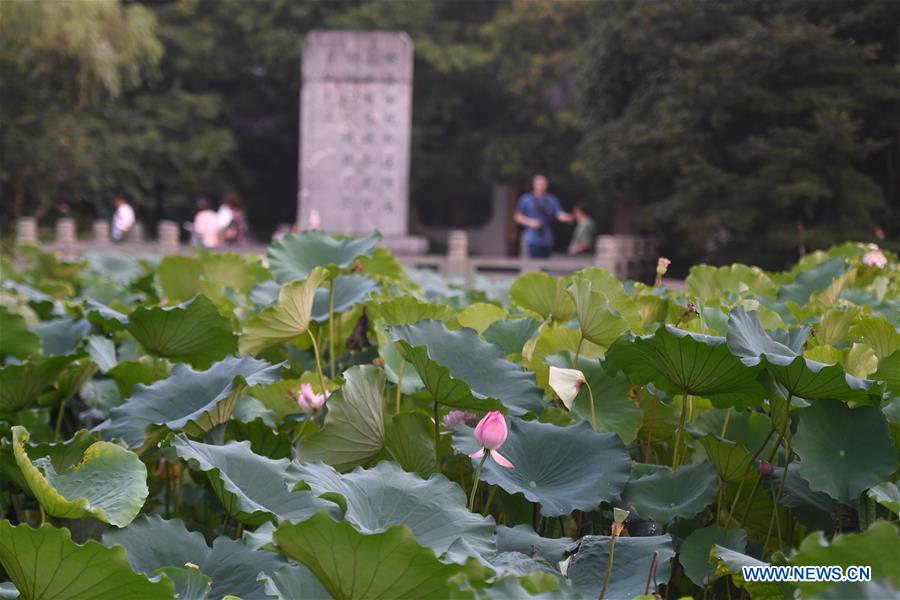 CHINA-HANGZHOU-WEST LAKE (CN)