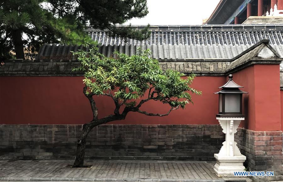 (BeijingCandid)CHINA-BEIJING-SUMMER-PALACE MUSEUM (CN)