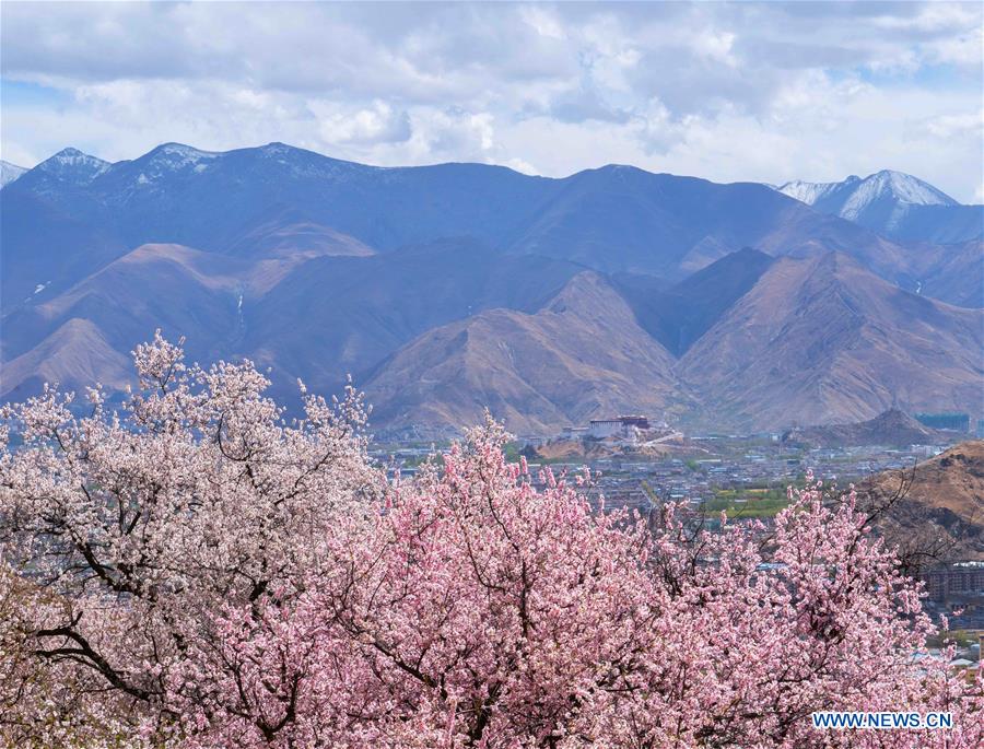 (EcoChina)CHINA-HORTICULTURAL EXPO-TIBET (CN)