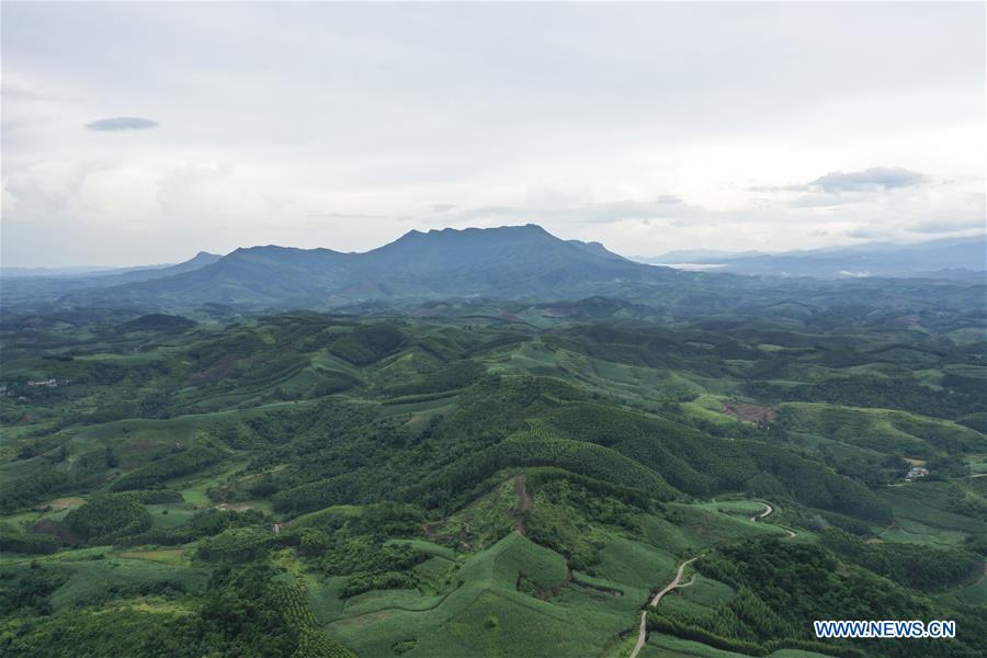 CHINA-GUANGXI-SHIWAN MOUNTAIN NATURE RESERVE-SCENERY(CN)