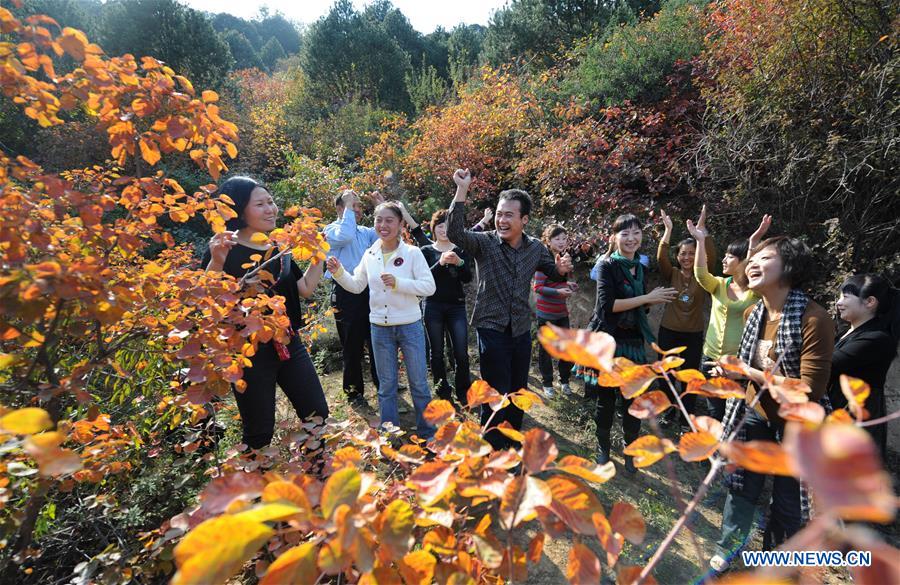 CHINA-SHAANXI-YAN'AN-GRAIN FOR GREEN (CN)