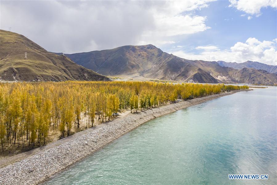 CHINA-TIBET-LHASA-AUTUMN SCENERY (CN)