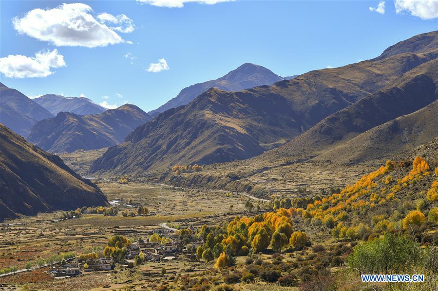 CHINA-TIBET-AUTUMN SCENERY (CN)