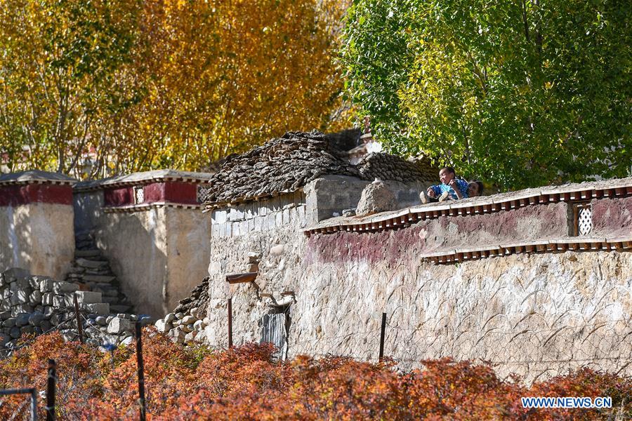 CHINA-TIBET-AUTUMN SCENERY (CN)