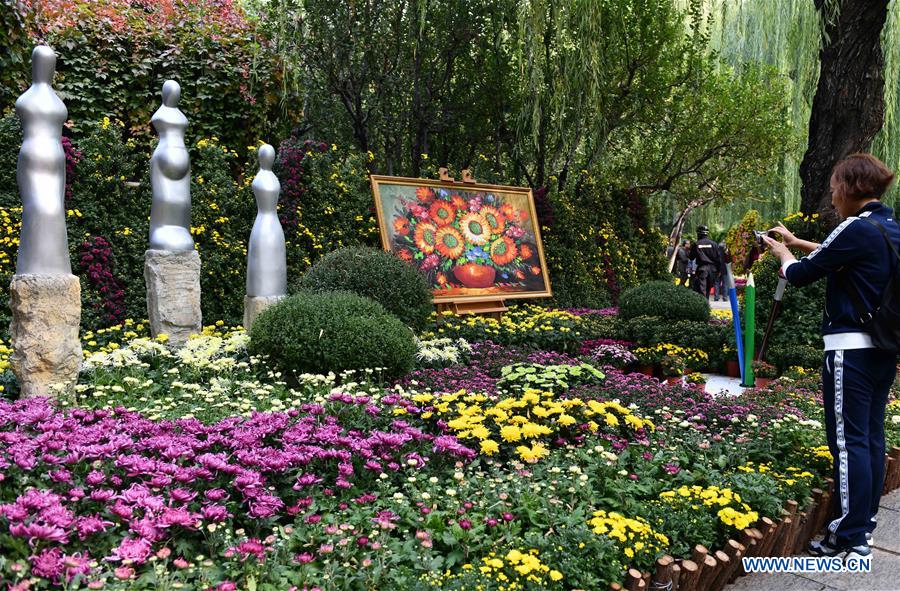 CHINA-SHANDONG-JINAN-CHRYSANTHEMUM (CN)