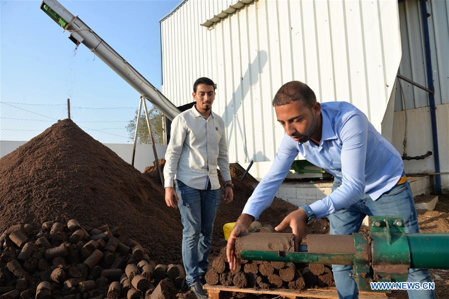 MIDEAST-GAZA-OLIVE OIL WASTE-RECYCLE