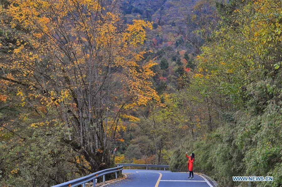 CHINA-SICHUAN-TIANQUAN-AUTUMN SCENERY (CN)