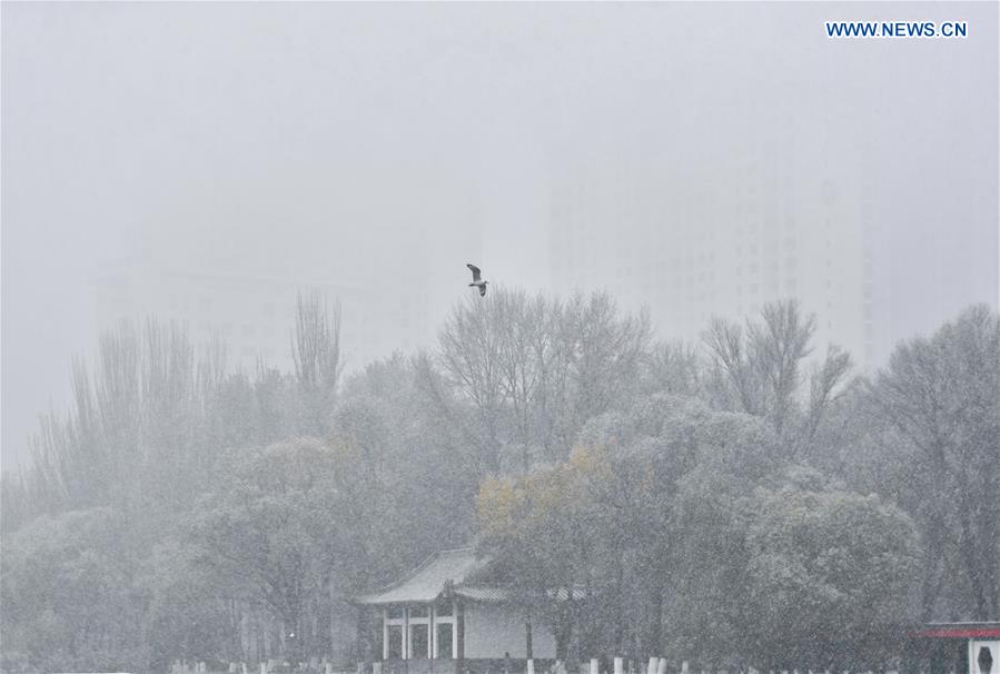 CHINA-QINGHAI-XINING-SNOWFALL (CN)