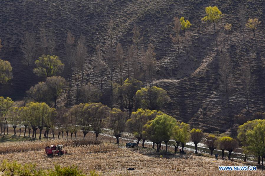 CHINA-INNER MONGOLIA-ORDOS-XARUSGOL RIVER (CN)