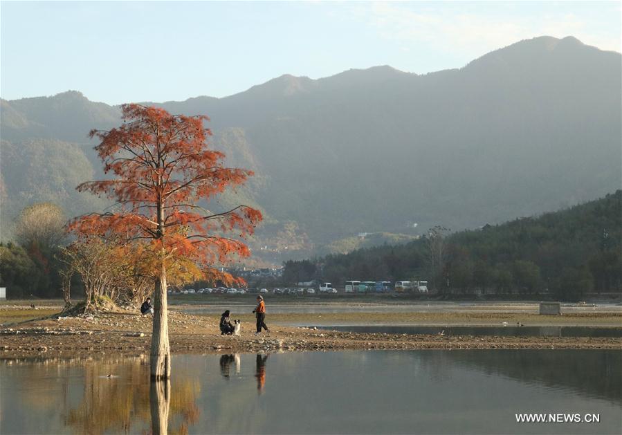 CHINA-ANHUI-HUANGSHAN-WINTER SCENERY (CN)