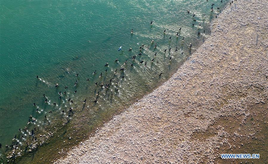 CHINA-HENAN-LUOYANG-YELLOW RIVER WETLAND-ECO-ENVIRONMENT (CN)