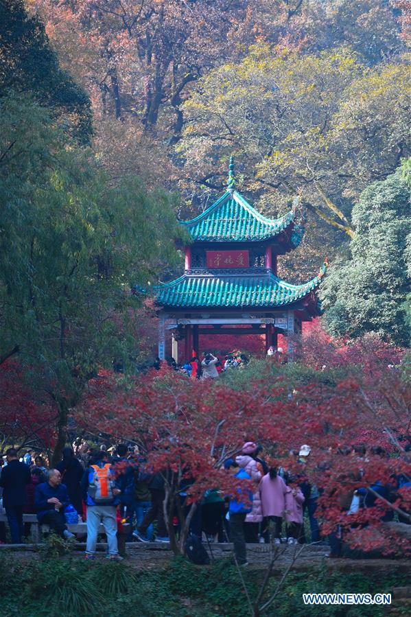 CHINA-HUNAN-CHANGSHA-MAPLE LEAF (CN)