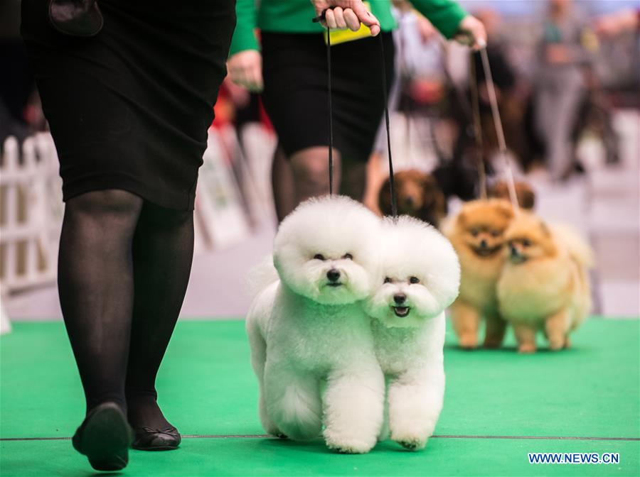 LITHUANIA-VILNIUS-DOG SHOW