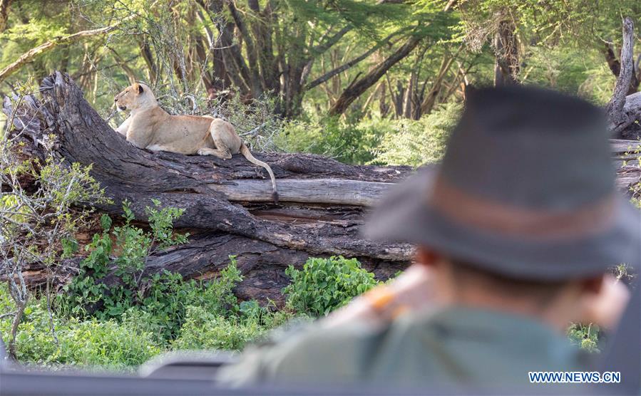 KENYA-LAKE NAKURU NATIONAL PARK-NEW YEAR HOLIDAY