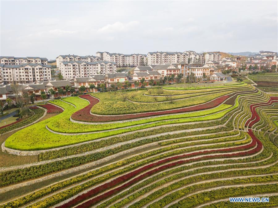 #CHINA-SPRING-SCENERY(CN)