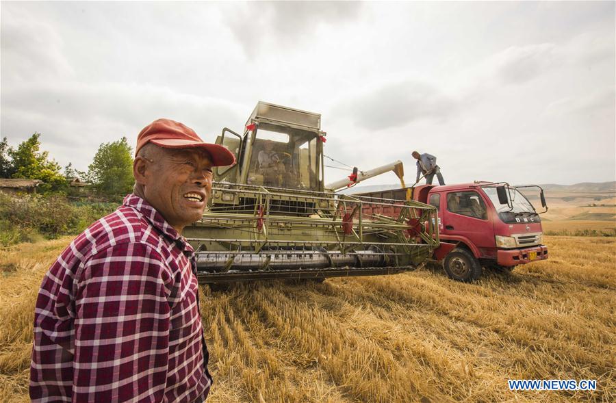 CHINA-XINJIANG-WHEAT HARVEST (CN)