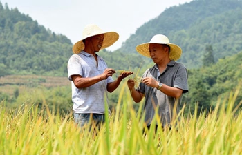 Pic story: farmer helps villagers increase income through organic farming