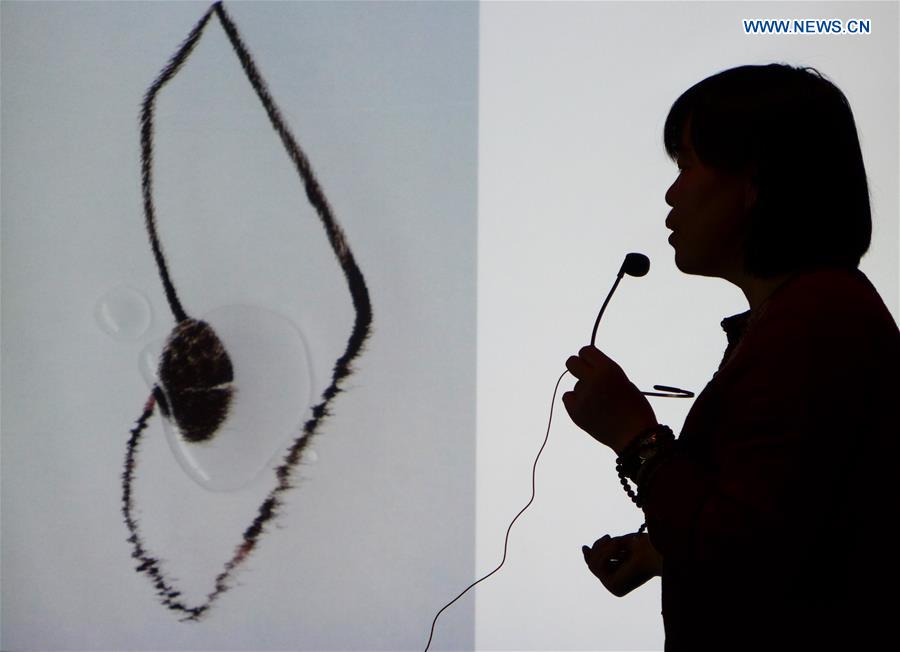 Liang Xuefang introduces her embroidery work on an exhibition at the National Center for the Performing Arts in Beijing, capital of China, May 27, 2014. 