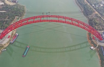 Main arch ribs of Third Pingnan Bridge closes in China's Guangxi