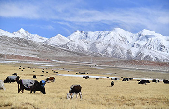 Snow scenery in SW China's Tibet