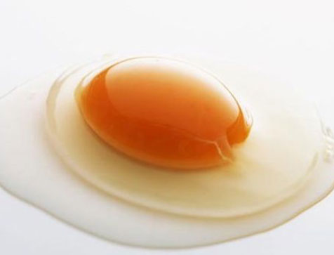 EGG