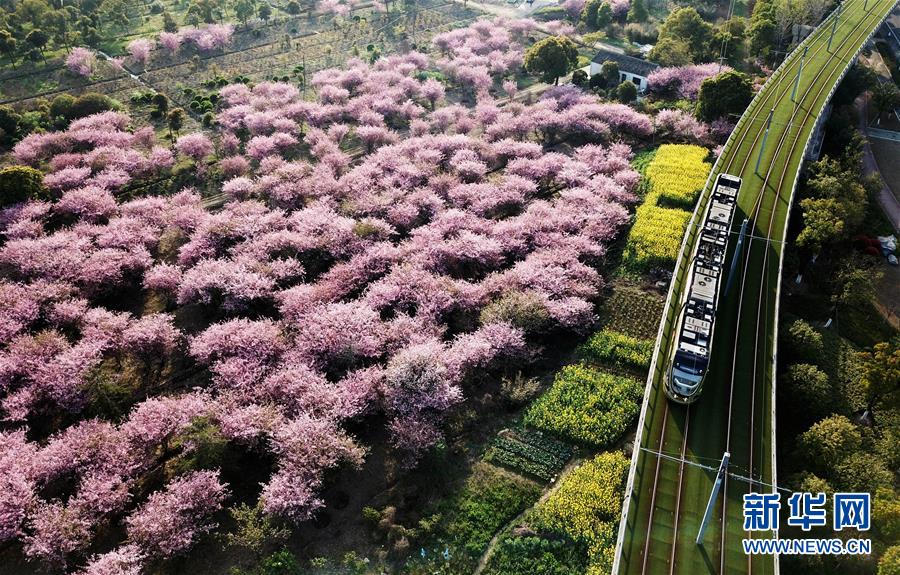 （壯闊東方潮 奮進新時代——慶祝改革開放40年）（5）美麗中華大地書寫綠色傳奇