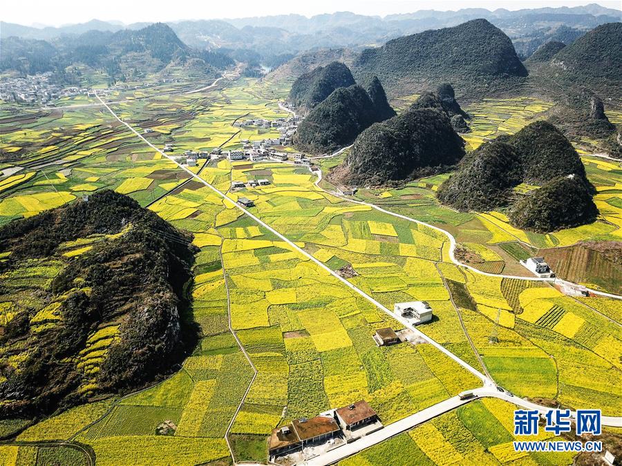 （新華全媒頭條·圖文互動(dòng)）（10）從脆弱生態(tài)到滿眼皆“綠”——國(guó)家生態(tài)文明試驗(yàn)區(qū)貴州的“綠色之路”