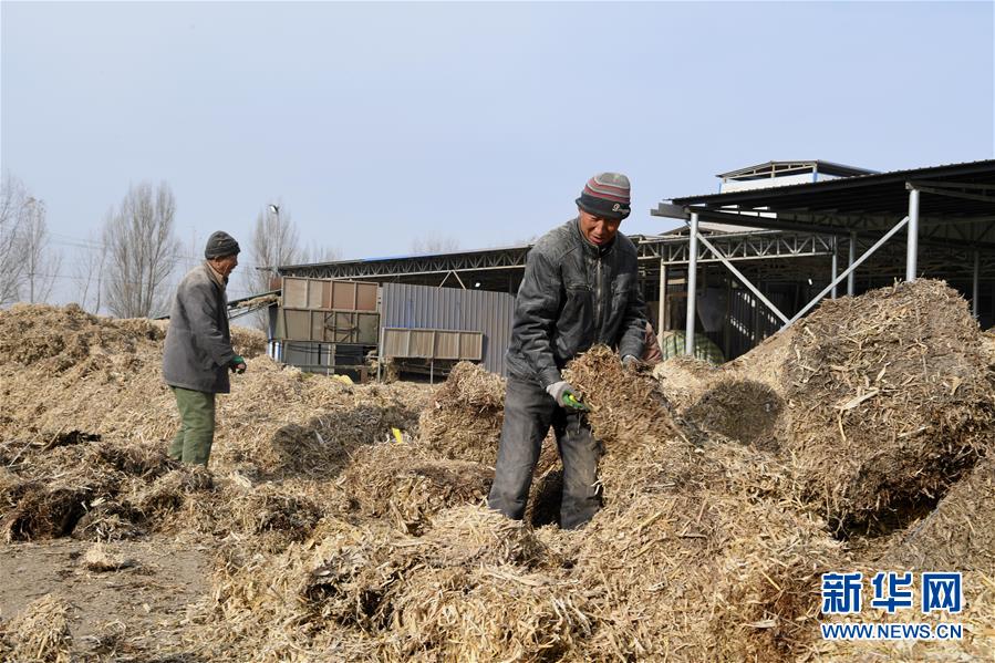 （在習近平新時代中國特色社會主義思想指引下——新時代新氣象新作為·鄉(xiāng)村振興戰(zhàn)略·圖文互動）（2）“與其放火，不如打包”——山西渾源秸稈綜合再利用見聞