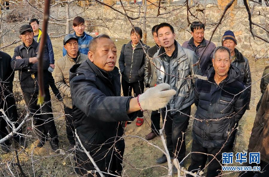 （改革先鋒風采·圖文互動）（2）李保國：開創(chuàng)山區(qū)扶貧新路的“太行山愚公”