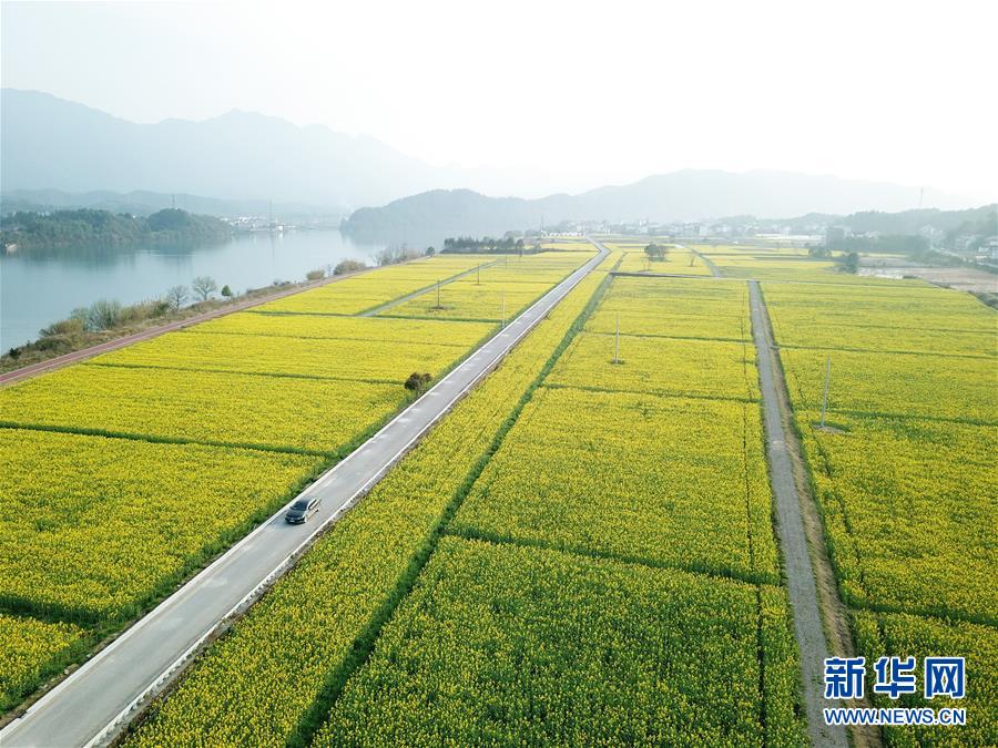 （新華全媒頭條·兩會精神看落實·圖文互動）（4）保持戰(zhàn)略定力 跨越重要關(guān)口——落實兩會精神加強(qiáng)生態(tài)文明建設(shè)述評