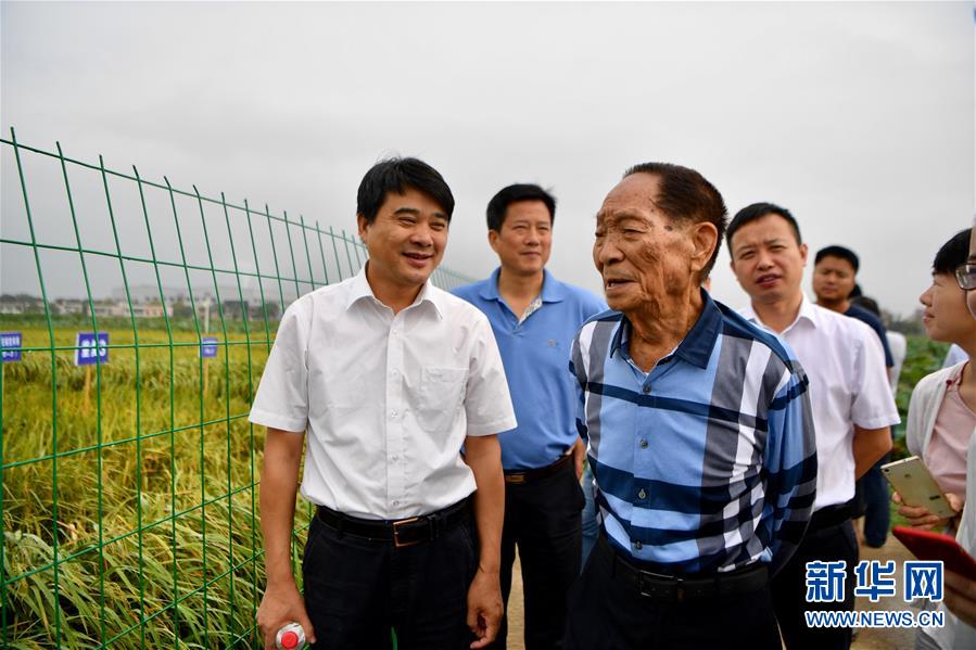 （愛國情 奮斗者·圖文互動）（1）一顆稻谷里的愛國情懷——記“雜交水稻之父”袁隆平