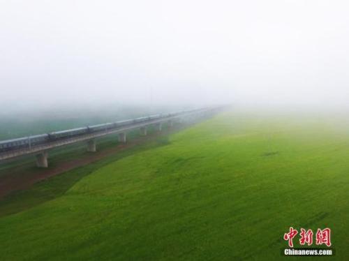 資料圖：動(dòng)車(chē)組穿越雨霧中的油菜花海宛若穿越時(shí)空。 楊艷敏 攝