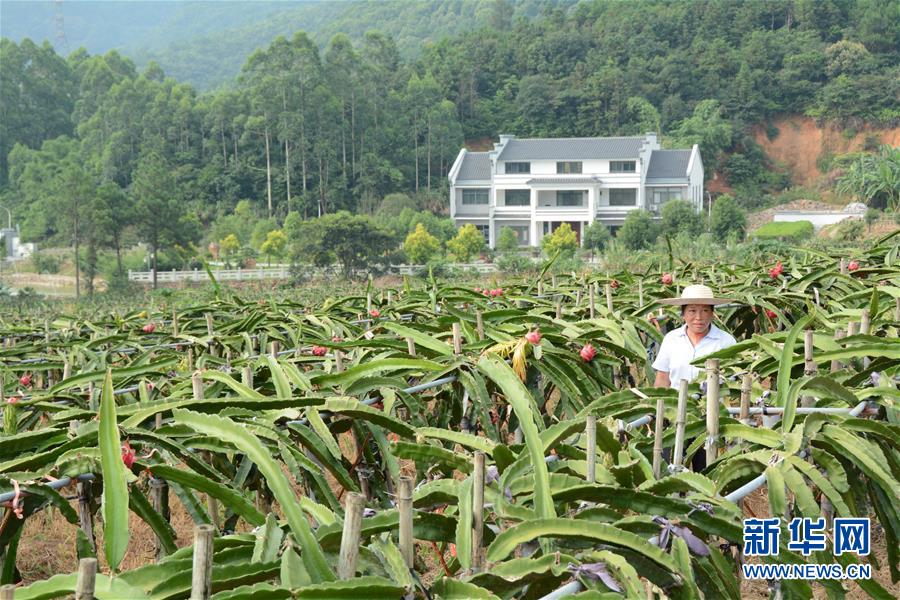 （在習(xí)近平新時代中國特色社會主義思想指引下——新時代新作為新篇章·總書記關(guān)心的百姓身邊事·圖文互動）（6）大污染變身“大寶藏”：治理畜禽糞污，他們這樣干！