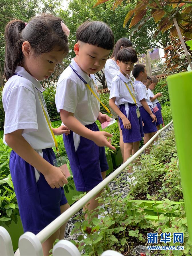 （新華全媒頭條·開學季·圖文互動）（4）新學期是彩色的——各地2019年秋季學期開學典禮掃描